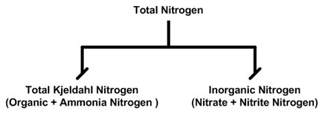 what is included in total nitrogen.
